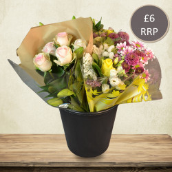 Rose & Lily / Summer Mix