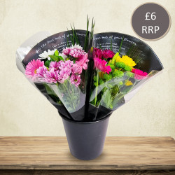 Pink Perfection Bouquet (6...